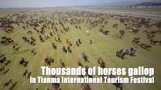 Thousands of horses participate in annual festival