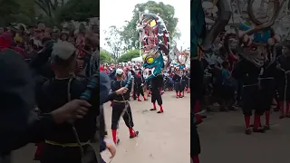 Recorrido de Miguel y sus Muchachos La plaza / Carnavales del Callao 🇻🇪