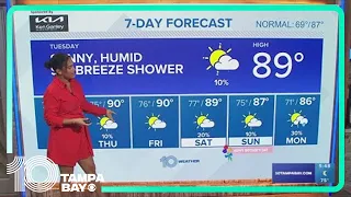 10 Weather: Tampa Bay area morning forecast | Tuesday, May 7, 2024