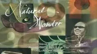 Stevie Wonder - I Just Called to Say I Love You (Live)