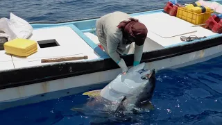 Amazing Fishing Skills Yellowfin Tuna Never Seen Before - Most Satisfying Sea Catching Tuna Videos!