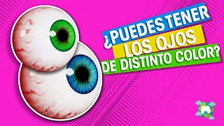 POR QUÉ HAY GENTE CON LOS OJOS DE DISTINTO COLOR / Heterocromía 😱 ¿que es la heterocromia?