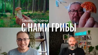 С нами грибы. Грибы и Грибники №2. Михаил Вишневский, Игорь Гордеев, Александр Горбацевич