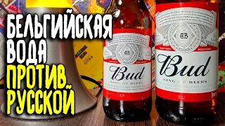 #297: ПИВО ЗА СОТКУ. Обзор пива BUD (американское пиво).