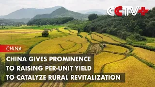 China Gives Prominence to Raising Per-unit Yield to Catalyze Rural Revitalization