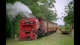 South African Steam: Alfred County Railway - Banana Express Easter 1998 with NGG16A 141