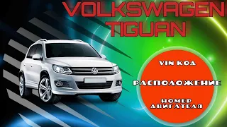 Расположение Vin кода и номера двигателя Volkswagen Tiguan 2011-2016