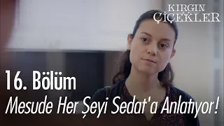 Mesude her şeyi Sedat'a anlatıyor! - Kırgın Çiçekler 16. Bölüm