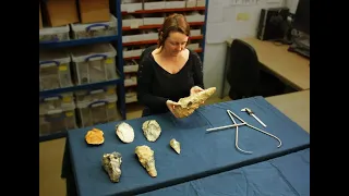 300,000 YEAR OLD “GIANT” PREHISTORIC HANDAXES FOUND IN KENT
