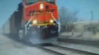 Cow hit by a train!