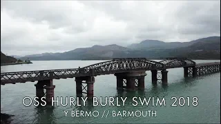 OSS Hurly Burly 10k Swim Review