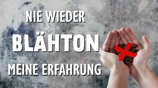 Nie wieder Blähton! Warum ich Dir von Blähton abrate und ihn selbst auch nicht mehr verwenden werde!