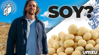 Don't Eat Soy: Boost Testosterone Levels and Thyroid Hormone by Ditching Goitrogenic Soy