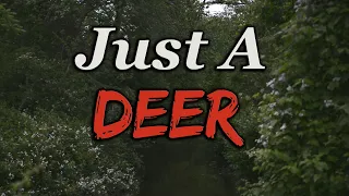 "Just A Deer" - Creepypasta