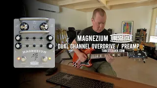 Tubesteader: MAGNEZIUM Dual Channel Tube Overdrive / Preamp