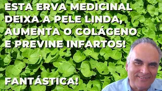 Esta erva deixa a pele linda, aumenta o colágeno e previne infartos! Fantástica! | Dr. Marco Menelau