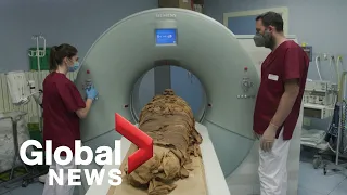 Egyptian mummy undergoes CT scan to discover his life and death