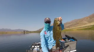 Smallmouth Bass in Worchester Western Cape