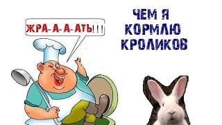 КРОЛИКОВОДСТВО Чем я кормлю кроликов? комбикорм Feed Life