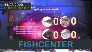 Fishcenter - Galaxy Series 2020 Day 1 (November 23, 2020)