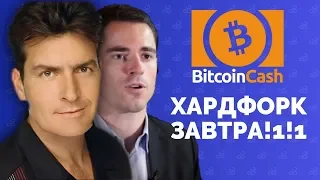 Хардфорк Bitcoin Cash уже ЗАВТРА! | Обзор BCH
