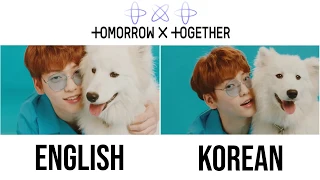 TXT - Cat & Dog English vs Korean | Comparison + Split Audio