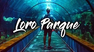 Loro Parque - Tenerife (VLOG)