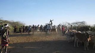 Hamar tribe - Bull jumping Ceremony - Ethiopia