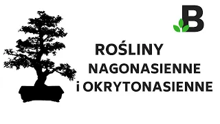 Rośliny NAGONASIENNE i OKRYTONASIENNE - ROŚLINY- KOREPETYCJE z BIOLOGII - 287