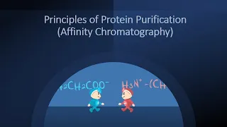 Principles of Protein Purification (Affinity Chromatography)