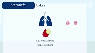 Die Atmung: Normwerte und Abweichungen