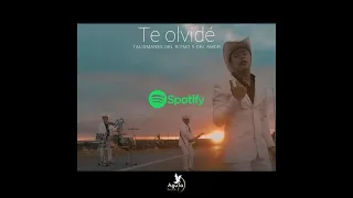 Te Olvidé - Talismanes del ritmo y del amor  (VideoLyric) Cumbia Tropical Ranchera 2022