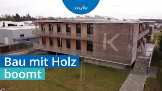 Umweltfreundlicher Hausbau: Was für den Rohstoff Holz spricht | Umschau | MDR