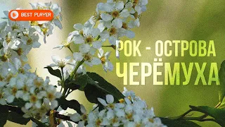 Рок-Острова - Черемуха (Альбом 2022) | Русская музыка