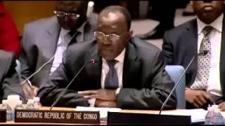 UN Security Council  Great Lakes region July 25th, 2013 7011th Meeting) English