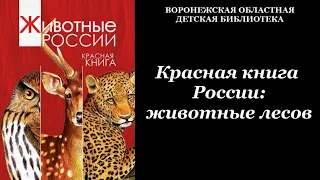 Красная книга России: животные лесов