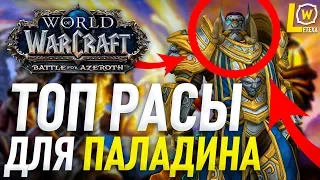 ТОП РАСЫ ДЛЯ ПАЛАДИНА WORLD OF WACRAFT BATTLE FOR AZEROTH