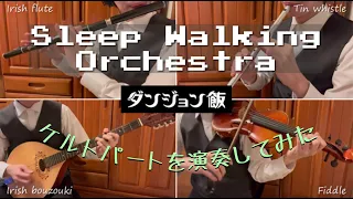 【ケルトパートを演奏してみた】ダンジョン飯OP「Sleep Walking Orchestra」- BUMP OF CHICKEN