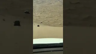 Accident in desert off-roading