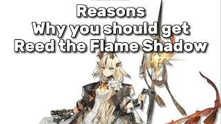 Reasons why you need to pull Reed Alter arknights