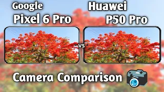 Google Pixel 6 Pro vs Huawei P50 Pro Camera Test Comparison