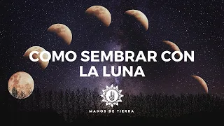 Como Sembrar Con LA LUNA 2024/ cultivar con fases lunares/ calendario lunar