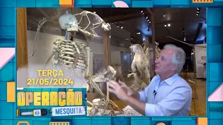 Operação Mesquita 21/05/2024 - Museu de Zoologia + Blau Motorsport