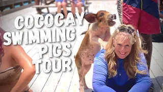 Royal Caribbean Swimming Pigs Tour Review