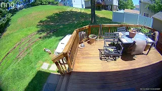 EXCLUSIVE VIDEO: Maryland backyard police chase caught on camera | FOX 5 DC