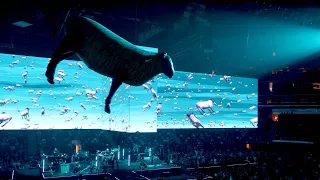 Roger Waters - "Sheep" - Madison Square Garden, NYC - 8/31/22