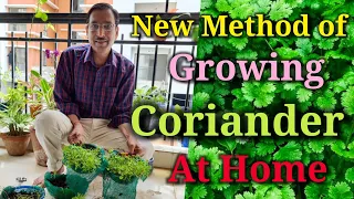 New Method of Growing Coriander at Home. Just Try it to get 100% Success