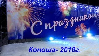 Коноша встречает Новый, 2018-й год.