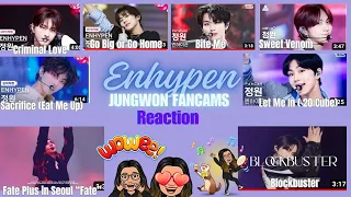 Enhypen: Jungwon Fancams | Bite Me, Criminal Love, GBGH, Sweet Venom, Let Me In, and more | Reaction