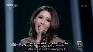 我是一只小小鸟   许艺娜 （天天把歌唱） I'm a Little Bird   Xu Yina Nana HD   YouTube